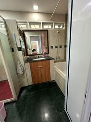 Evergreen Park (D19), Apartment #585606641